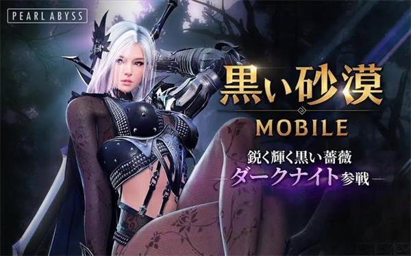 黑色沙漠台服安装  