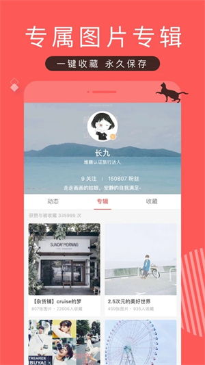 堆糖最新版