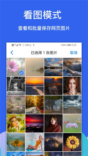 alook浏览器  