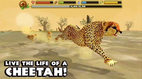 猎豹模拟器游戏(Cheetah Sim)