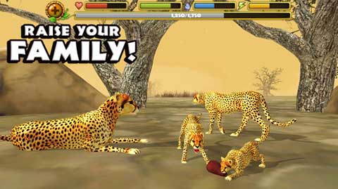 猎豹模拟器游戏(Cheetah Sim)
