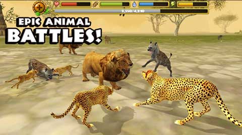 猎豹模拟器游戏(Cheetah Sim)