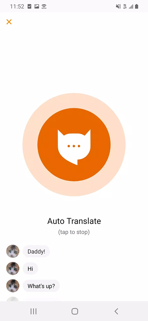 meowtalk喵说安卓版