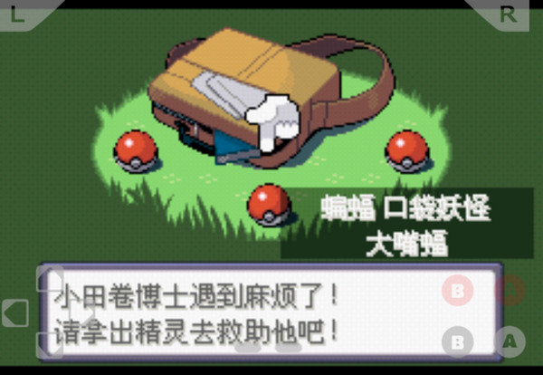 口袋妖怪黑暗之火随机版