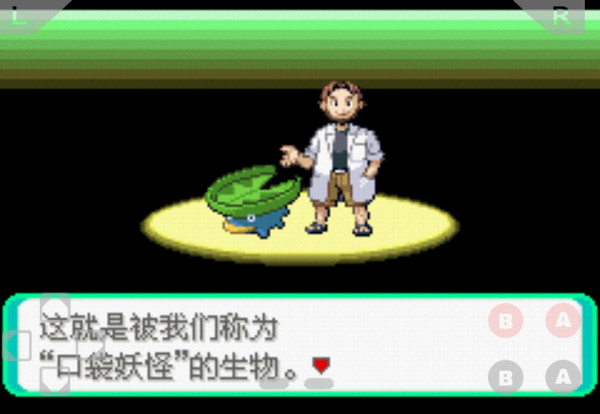 口袋妖怪黑暗之火随机版