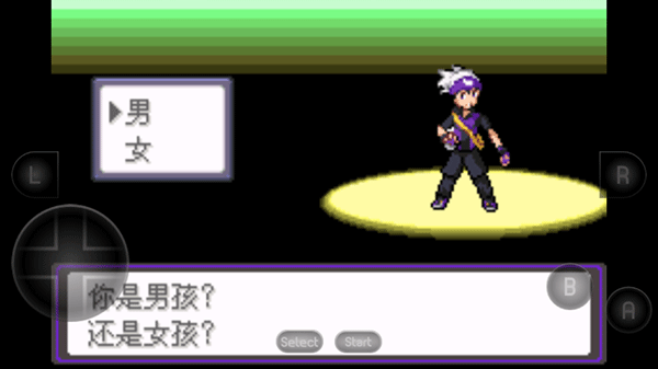 口袋妖怪漆黑的魅影5.0EX+BW  