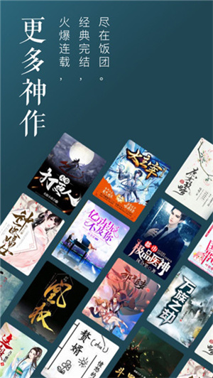 饭团追书安装  