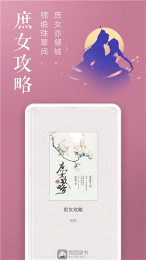 饭团追书安装  
