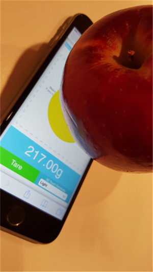 Touchscale屏幕电子秤安卓版