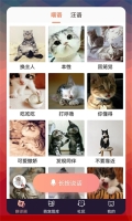 猫语翻译器安装正版