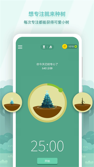 Forest专注森林最新  