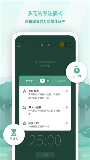 Forest专注森林最新  