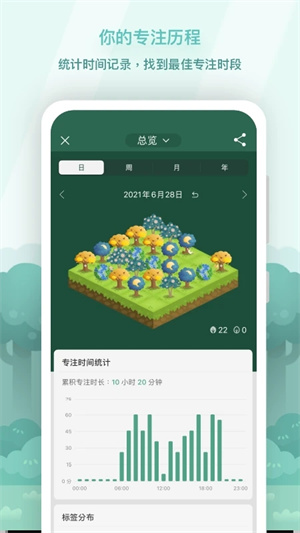 Forest专注森林最新  