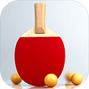 虚拟乒乓球内购 v2.3.13 安卓版