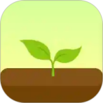 Forest专注森林最新  