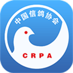 中国信鸽协会