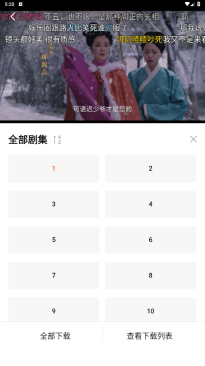小柿子追剧