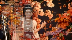菠萝影视tv