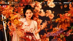 菠萝影视tv