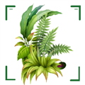 识万物扫一扫安卓版