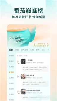番茄小说电子书