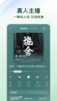 番茄小说电子书